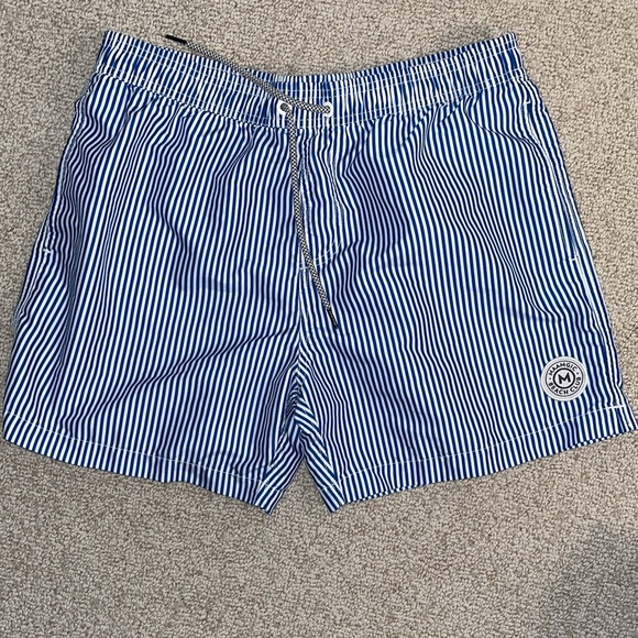 Nautical Blue Striped Men's Swim Trunks - Picture 1 of 4